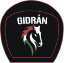 Gidran Logo